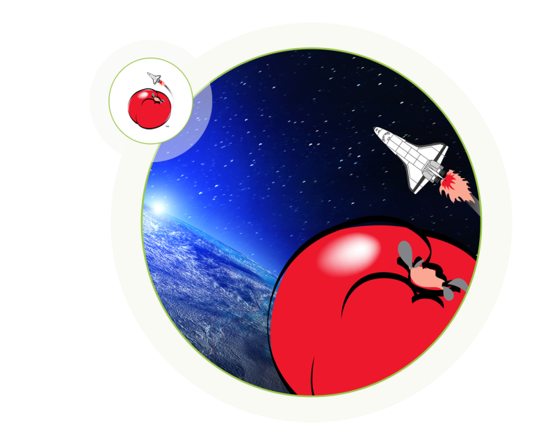  spaceship with tomato
