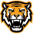  bengal tiger head