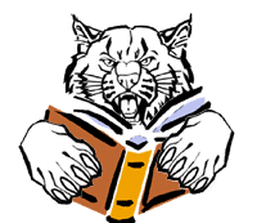 wildcat with book graphic 