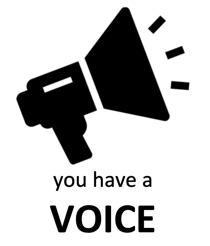 you have a VOICE 