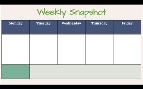 Weekly Snapshot