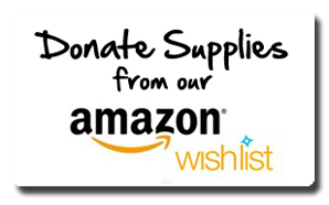 Click to reach our Amazon wish list 