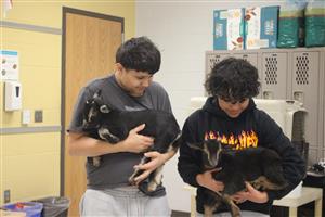 Students with baby goats