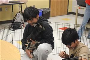 Students holding baby goats