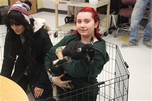 Students with baby goats