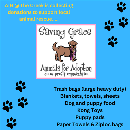 Saving Grace Pet Donations