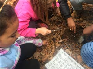 Children exploring outside