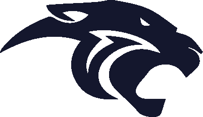  DDMS Logo
