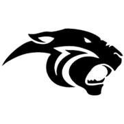 DDMS Logo