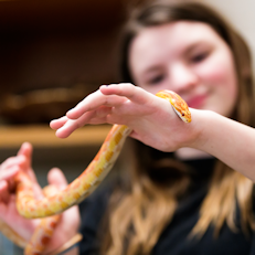  Animal Science at RCMMS