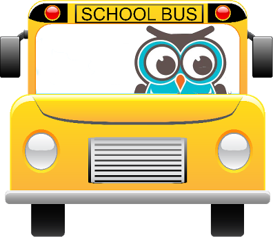 owl driving bus 